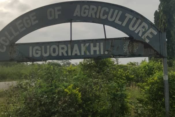 Benin Industrial Court nullifies sack of Edo College of Agriculture workers, of