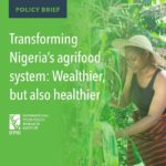 Transforming Nigeria’s agrifood system
