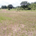 land Agric cluster collaborates with Federal Mortgage Bank to boost commercial farming, Gunmen abduct farm owner, Gunmen rape woman in Ondo community, Polytechnic guard shoots farmer to death in Osun