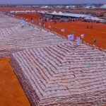 Rice pyramids unveiling