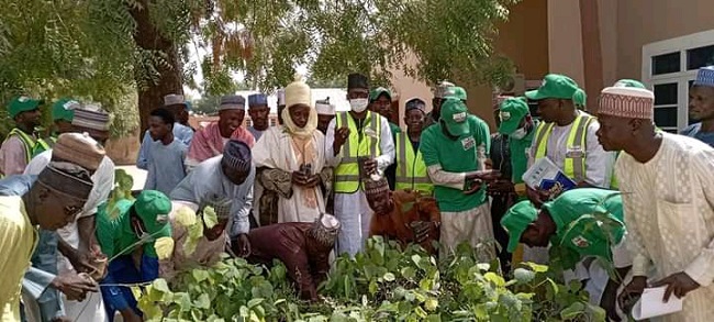 campaigns on importance of tree planting