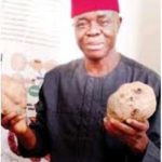 CBN, POFAN working on intervention for potato farmers