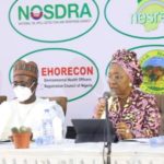 Environment minister explains how Nigeria will achieve net zero