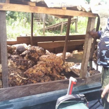 Edo Police arrest 2 suspects over Okomu Oil invasion