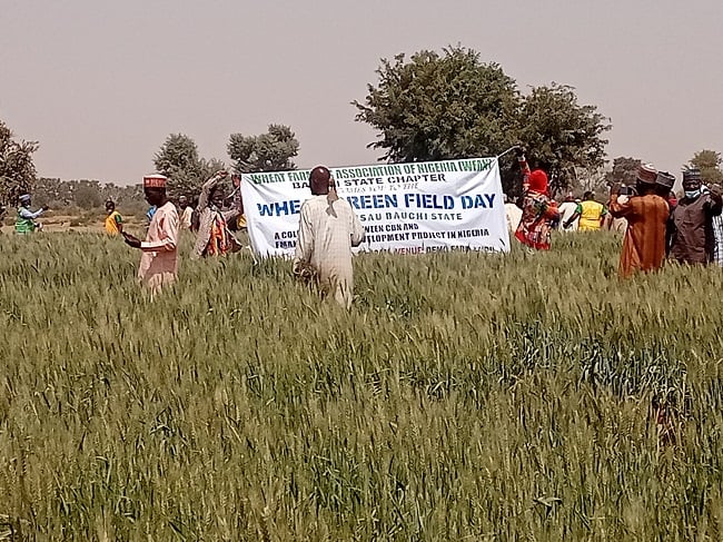 importation of wheat
