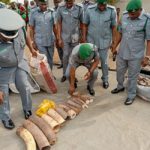 Customs seize pangolin scales