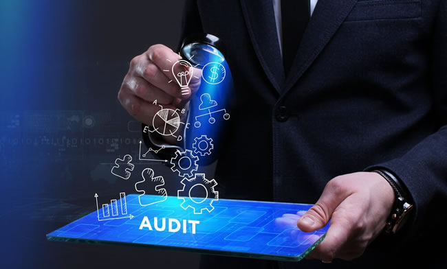 Marketing Audit