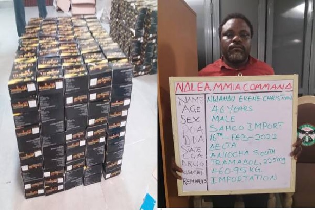 NDLEA intercepts Tramadol