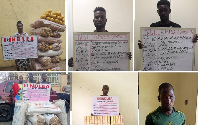 NDLEA recovers Tramadol tabs