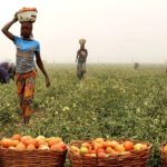 farming initiative to empower low-income, women