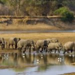 growing threat to biodiversity