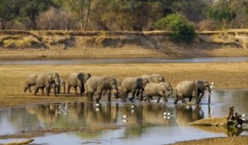 growing threat to biodiversity