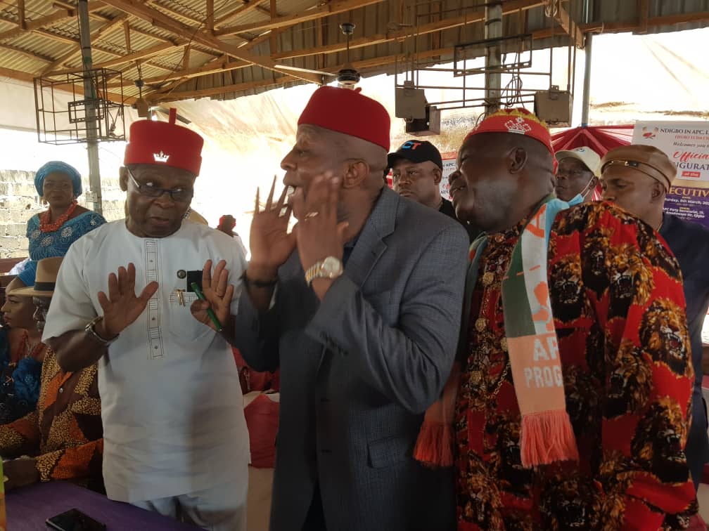 Ndigbo in Lagos APC excos