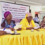 Kwara women farmers