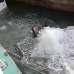 Sinking of NIMASA-Barugu, Controversy trails sinking of NIMASA vessel under EFCC custody in Lagos waters