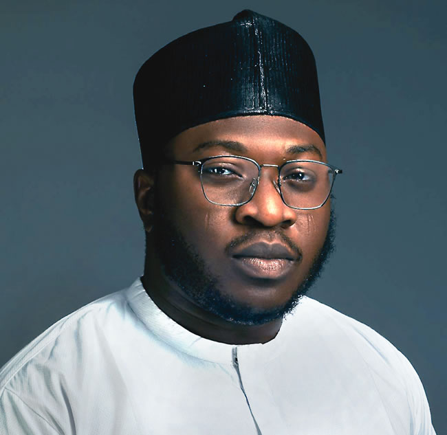 Working with Nigerian senate