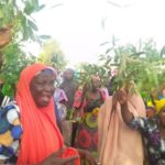 Casual workers in Gombe protest alleged disengagement, seek Governor Inuwa's intervention