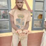 Osun Amotekun apprehends ritual killer in Ilesa