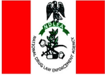 NDLEA raids cannabis cartels, U.S. supports NDLEA, NDLEA intercepts Brazil, NDLEA nabs wanted , NDLEA declares Lagos , NDLEA nabs 4 kingpins, NDLEA Arrests 220 , NDLEA parcels Meth Lagos,NDLEA seizes 456.8 kg, NDLEA Ikoyi properties , Ondo NDLEA rehabilitates 60, NDLEA arrests seven suspects, Why we raided Abuja hotel ― NDLEA, NDLEA Commander harps on education as, NDLEA nabs another, We have arrested