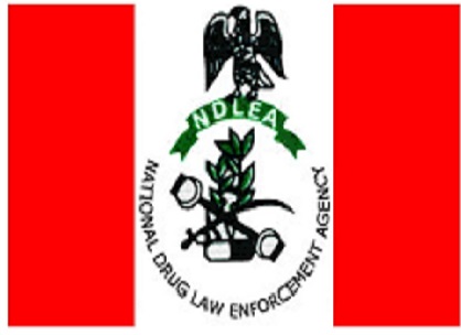 NDLEA arrests seven suspects at Kano Airport for drug trafficking