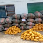 Customs Cannabis Lagos waterways