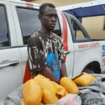 I was offered N25000 to transport 10 bags of Indian Hemp ― Lagos driver