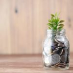 Mutual Fund