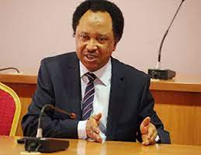 Opposition party too elitist