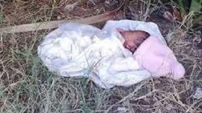 One-day-old baby abandoned