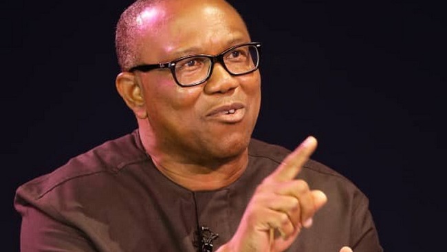 election, Labour party, Peter Obi, Obi tells Nnamani, Peter Obi