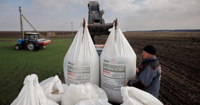 Fertiliser costs could prolong global ,