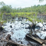 Oil spill