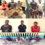 Police arrest 13 railway vandals nationwide