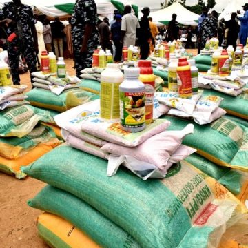 Gombe budgets N8.5bn to support 288,700 households, farmers, small-scale businesses