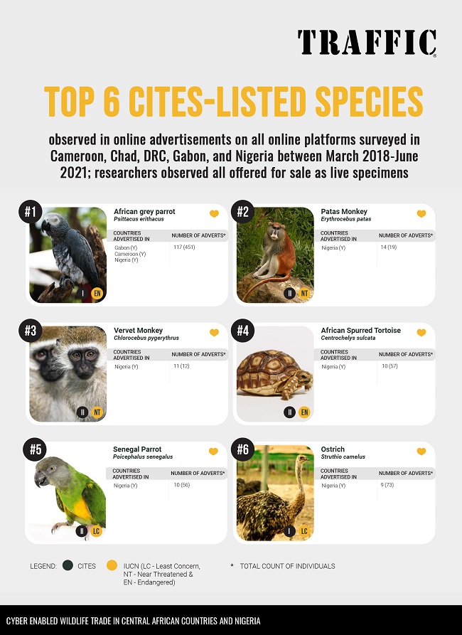 online sales of CITES-listed species in Nigeria