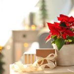 gifts you can get