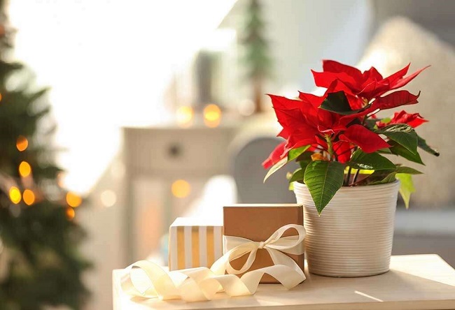 gifts you can get