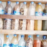 Why treating malaria with herbs during pregnancy may be unsafe —Study