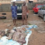 NSCDC parades two suspects for attempting to sell dead cow in Lokoja market
