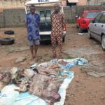 Kogi NSCDC parades two for attempting to sell dead cow in Lokoja market