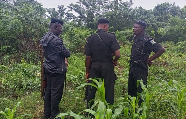 Suspected ritualists remove 65-year-old farmer's eyes in Osun