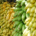 Carlos Cabal in Nigeria our organic banana will benefit everyone