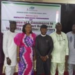 Nigeria exports digital Experts,