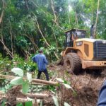 FCTA clears forest in Abuja
