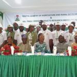 Youth engagement in agribusiness