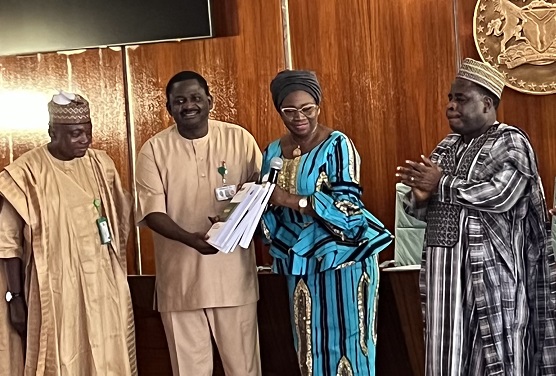 Insecurity Diaspora investments NiDCOM ,