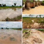 rice farms at risk,