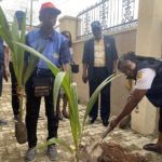 Rotary Club embarks on tree planting