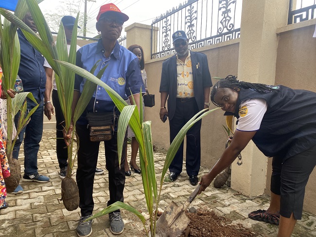 Rotary Club embarks on tree planting