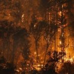 Two dead in, Fierce fire spreads,
